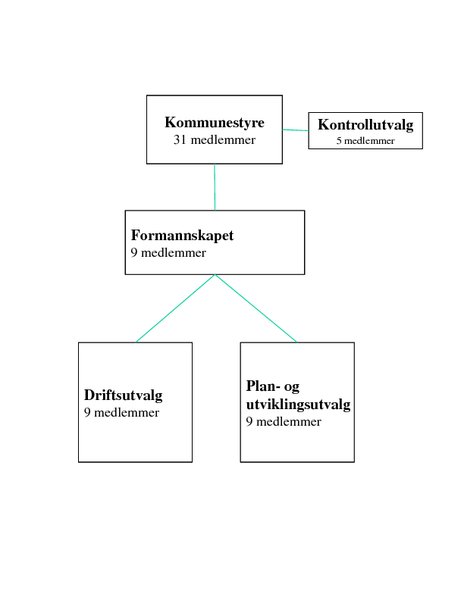 Organisasjonskart politikk  