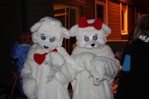 Skicup labb og line  1  