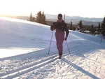 loyper_med_utsikt_mot_fjell