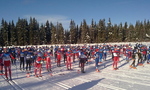 Mellerunden 2010.