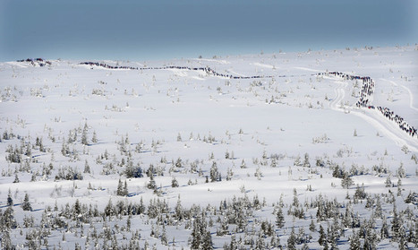 Raufjellet sett fra D�lfjellet. Lang lang rekke med Bikrebeinere i p�ske eventyret