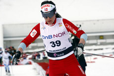 kollen-2010