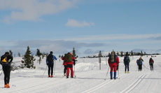 Sjusjøen, 2010.
