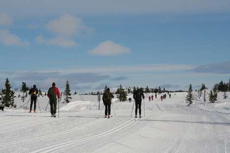 Sjusjøen 2010