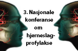 HjerneslagKonferanse-3
