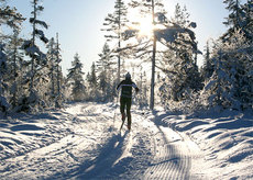 Ringkollen - Treningsrunden, november 2010. Foto: Geir Nilsen/Langrenn.com. Ringkollen - Treningsrunden, november 2010. Foto: Geir Nilsen/Langrenn.com.