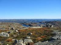 Gr&oslash;nhaug