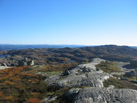 Gr&oslash;nhaug