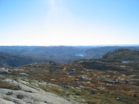 Gr&oslash;nhaug