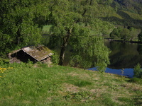 Halvor Helland