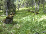 FinnhaugenTuftene fjøset_400x300