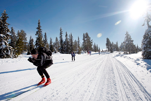 Birkebeinerrennet på vei ned fra Dølfjellet. Foto: Geir Olsen/Birkebeinerrennet.