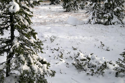 Tidlig vinter p&aring; Sjusj&oslash;en. Bildet tatt 10. oktober 2011. Foto: Ole-Einar Brukvangen.