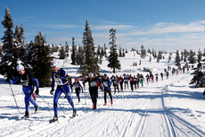 Opp mot Dølfjellet i Birkebeinerrennet. Foto: Geir Olsen/Birkebeinerrennet.