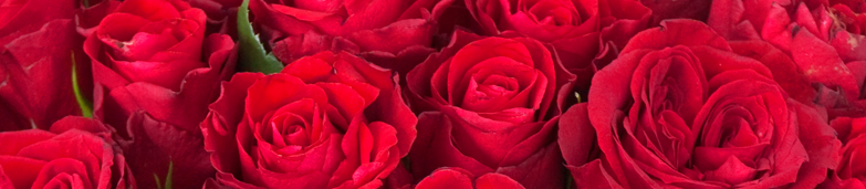 Blomster