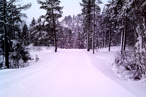 Hovden, 7. desember 2011. Foto: Frank Heggebø. Hovden, 7. desember 2011. Foto: Frank Heggebø.