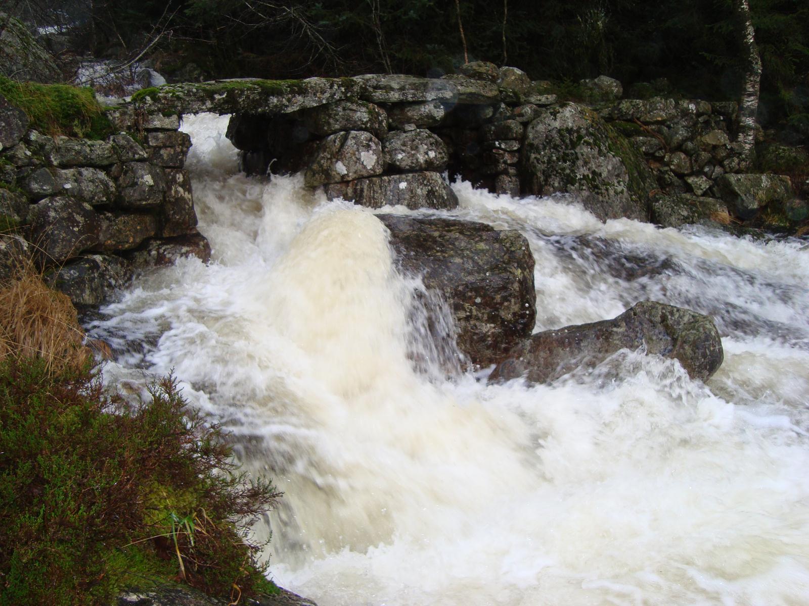 Bringedal Bringedal