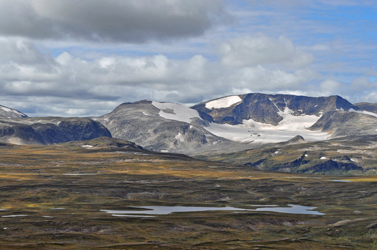 top-articles-borgefjell