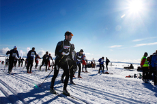 Birkebeinerrennet. Foto: Geir Olsen/Birkebeinerrennet.