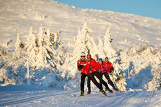 Trening i noen av Trysils mange skiløyper. Foto: Ola Matsson. Trening i noen av Trysils mange skiløyper. Foto: Ola Matsson.