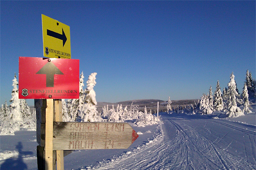 Stenfjellrundetraseen. Foto: Stein Arne Neg&aring;rd.
