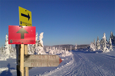 Stenfjellrundetraseen. Foto: Stein Arne Negård.