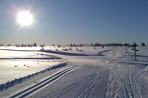 Stenfjellrundetraseen. Foto: Stein Arne Neg&aring;rd.