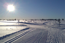 Stenfjellrundetraseen. Foto: Stein Arne Negård.