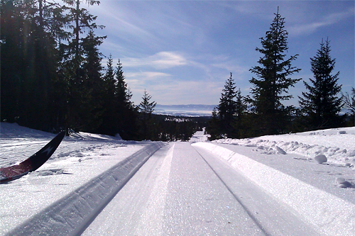 Stenfjellrundetraseen. Foto: Stein Arne Neg&aring;rd.