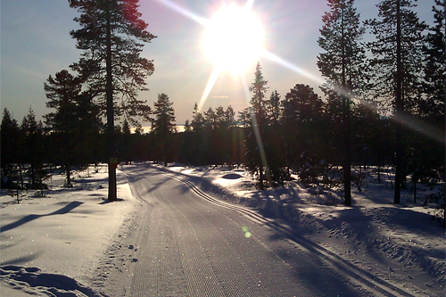 Stenfjellrundetraseen. Foto: Stein Arne Neg&aring;rd.