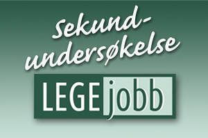 Sekundundsokelsen-300