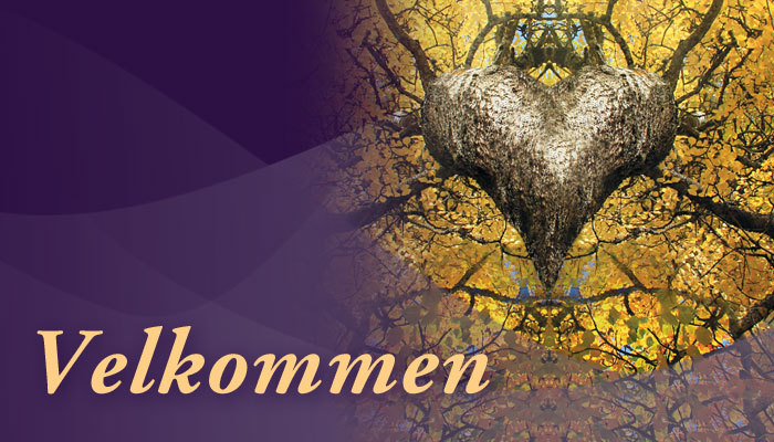 4076_HH_Blikkfang_700x400_K1-300