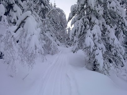 Løypa ved Eikelandsvatnet Løypa ved Eikelandsvatnet