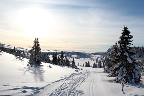 N3 Norefjellrennet - Befaring februar 2012. Arrangørfoto. N3 Norefjellrennet - Befaring februar 2012. Arrangørfoto.