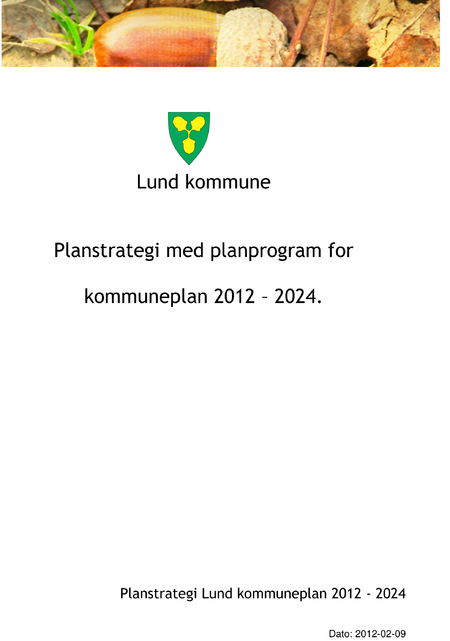 Planstrategi med planprogram 9