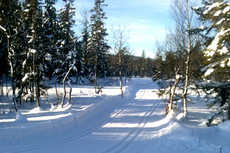 Løypene ligger klare og venter på deltakerne i Montebellorennet. Arrangørfoto.
