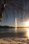 Lundevannet i desember
