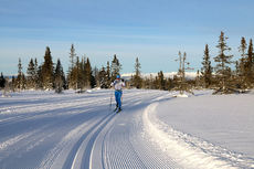 Morten Eide Pedersen tester løypa til Hafjell Ski Marathon foran 2016-utgaven. Arrangørfoto. Morten Eide Pedersen tester løypa til Hafjell Ski Marathon foran 2016-utgaven. Arrangørfoto.