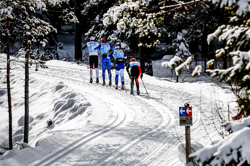 Fra det innbydende langløpet Cortina - Toblach i Nord-Italia, et renn som inngår i langløpscupen Visma Ski Classics. Foto: Bragotto/NordicFocus. Fra det innbydende langløpet Cortina - Toblach i Nord-Italia, et renn som inngår i langløpscupen Visma Ski Classics. Foto: Bragotto/NordicFocus.