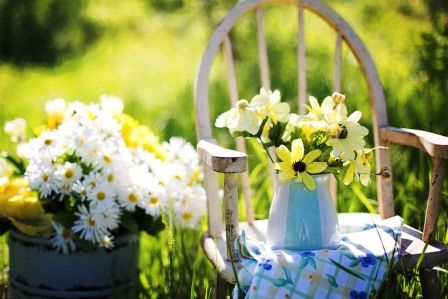 Sommerblomster Sommerblomster