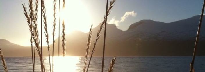 Valnesfjord 1