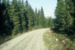 Skogsbilveg i god stand