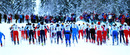 DSC_3814_468x199