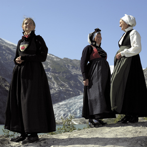 <br><i>Tre «Jostedalsryper» fotografert ved fronten av Nigardsbreen ein dag i august, då fjellet viste seg fram fra si aller vakraste side</i>