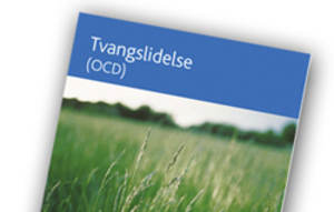Tvangslidelse-250