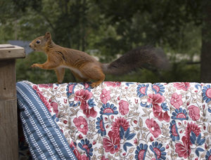 <br />Quilt BALSAMIN/MYNTA