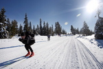 vindstille eventyr p vei ned fra D¿lfjellet og videre mot Dambua