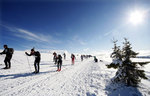 Foto: Geir Olsen