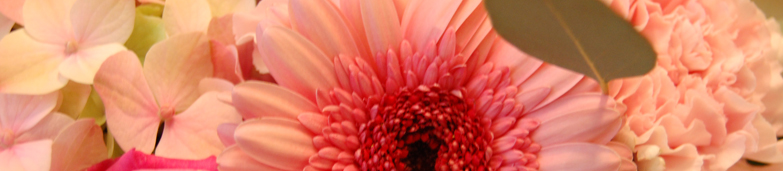 Blomster