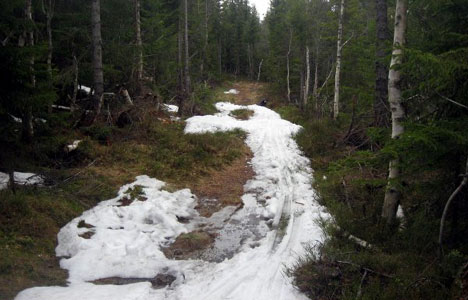 Forholdene under Tom Stensakers siste skitur i år.